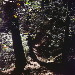 Gabes Mountain Trail